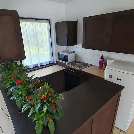 Holiday In Zamardi/balaton 20364 Holiday home Zamardi