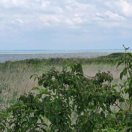 Holiday In Zamardi/balaton 20364 扎马迪